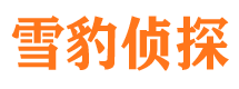 孝义私家调查公司